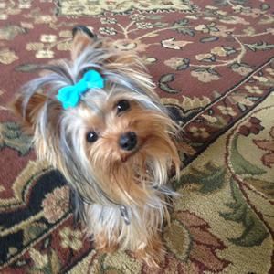 Meet your Posher, Lori